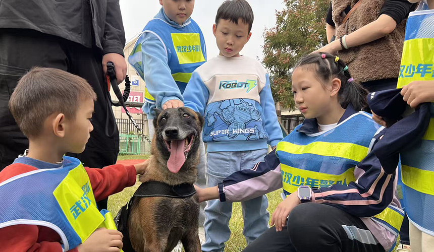 武汉少年警队探秘警犬基地