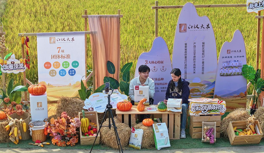 一碗好米的品质密码 从田间到车间见证江汉大米“诞生记”