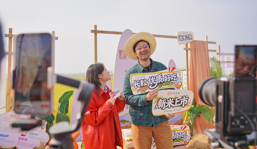 一碗好米的品质密码 从田间到车间见证江汉大米“诞生记”【3】