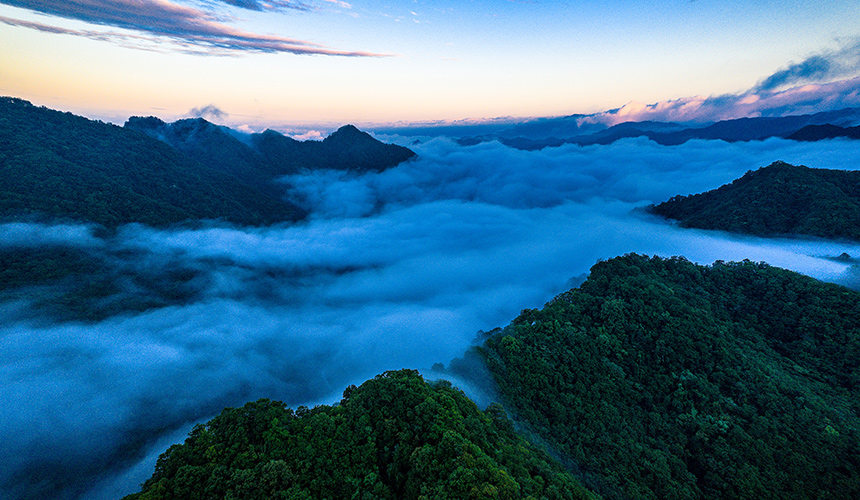 云海奔腾入画来【3】