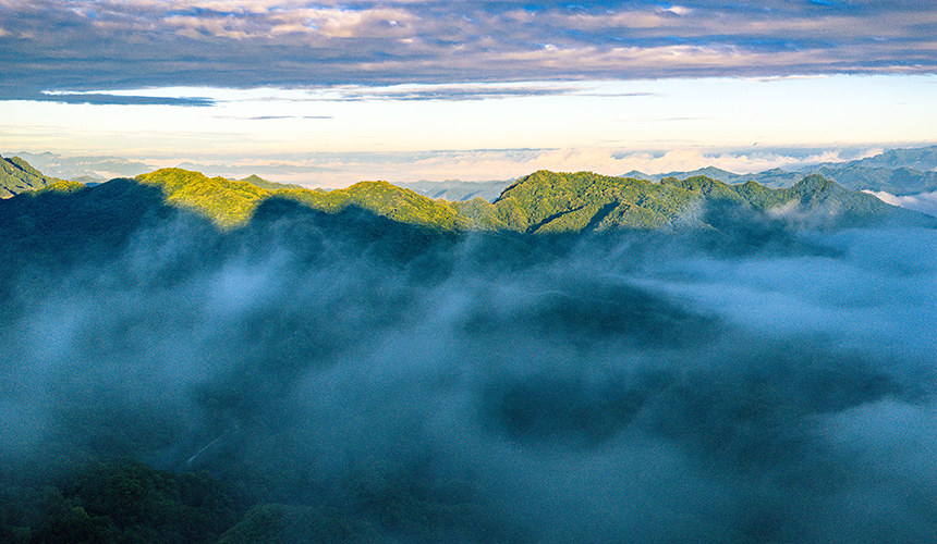 云海奔腾入画来【5】