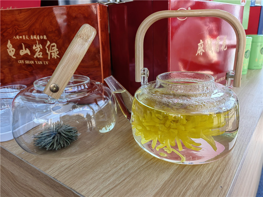 湖北麻城福白菊品牌价值突破72亿元【2】