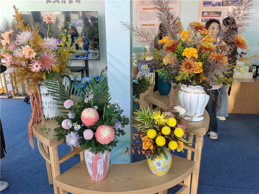 湖北麻城福白菊品牌价值突破72亿元【3】