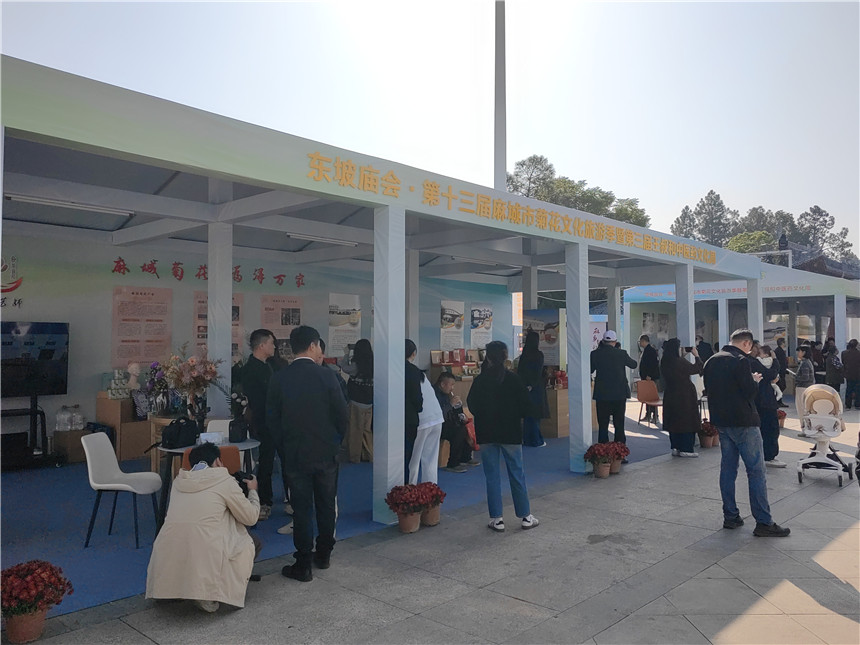 湖北麻城福白菊品牌价值突破72亿元【6】