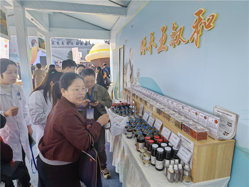 湖北麻城福白菊品牌价值突破72亿元【7】