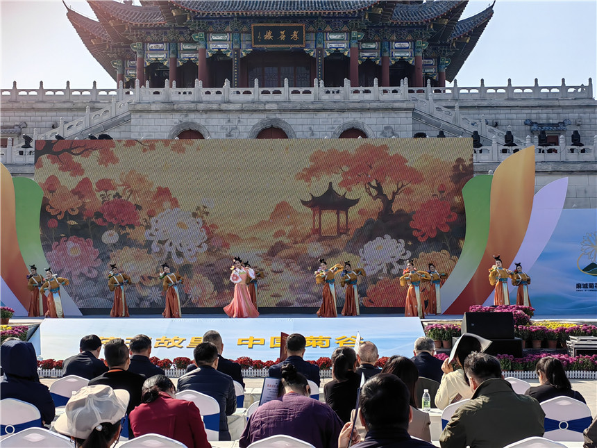 湖北麻城福白菊品牌价值突破72亿元【8】