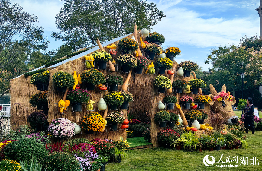 江城秋色入画来 武汉市第42届金秋菊展启幕【2】