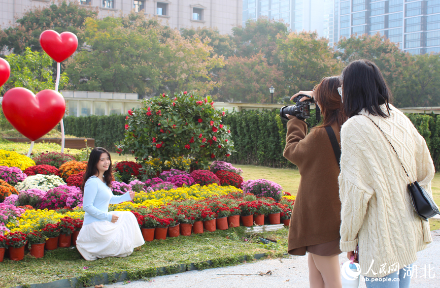 江城秋色入畫來 武漢市第42屆金秋菊展啟幕【5】