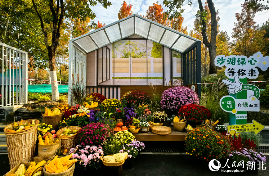 江城秋色入畫來 武漢市第42屆金秋菊展啟幕【11】