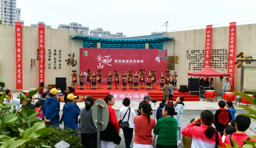 湖北通城:油茶榨出大产业 特色节会铺富路