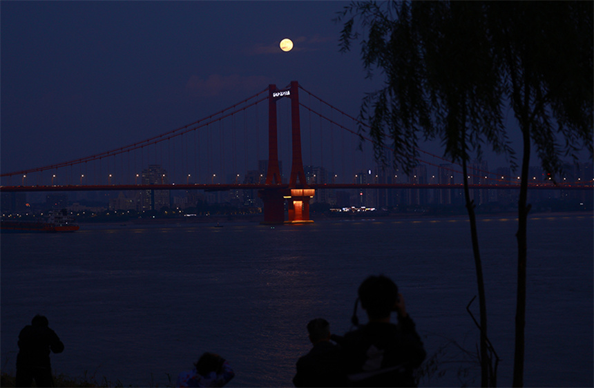 11月5日晚，市民们正在汉阳江滩边欣赏难得一见的“超级月亮”。彭昀迪摄