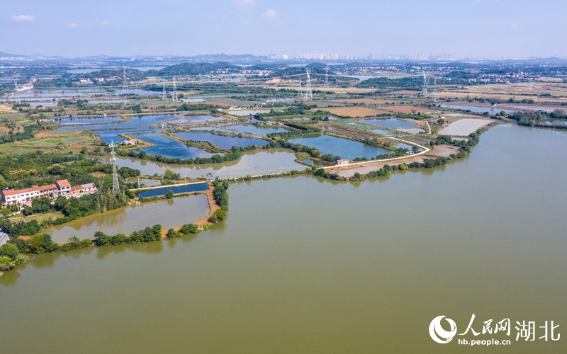 桐湖水系丰富。人民网记者 王郭骥摄