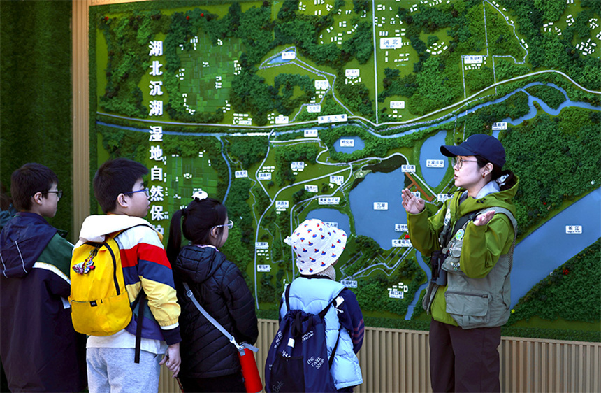 沉湖湿地七壕保护监测站，武汉市观鸟协会会员为小朋友们讲解鸟类知识。彭昀迪摄