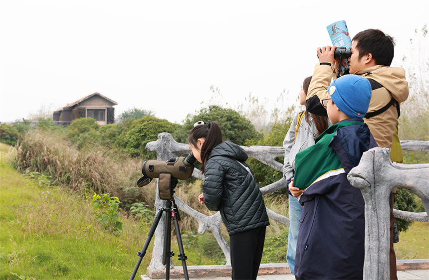 武汉市观鸟协会成员带领小朋友用望远镜观鸟。彭昀迪摄