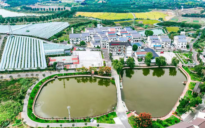 紫薇都市田园片区丰乐村发展图景。