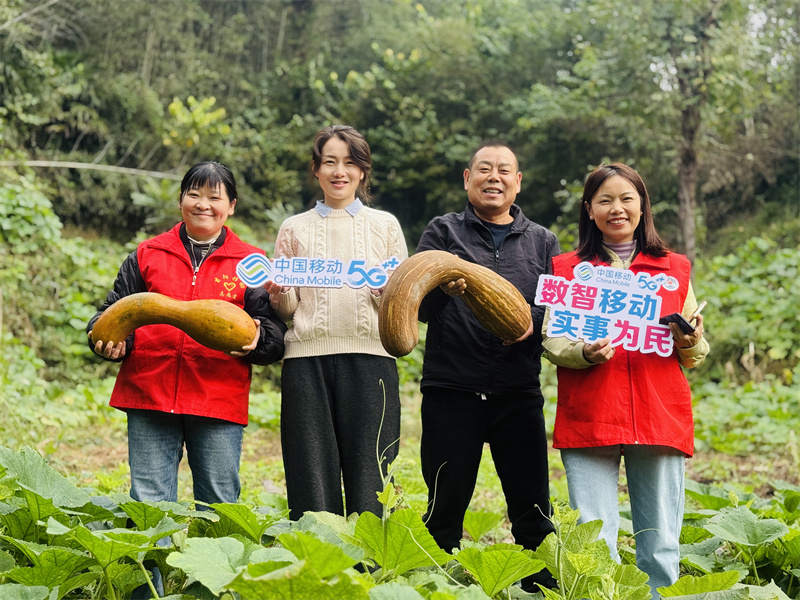 湖北移動志願者和村民一起在直播間向網友展示新鮮採摘的南瓜