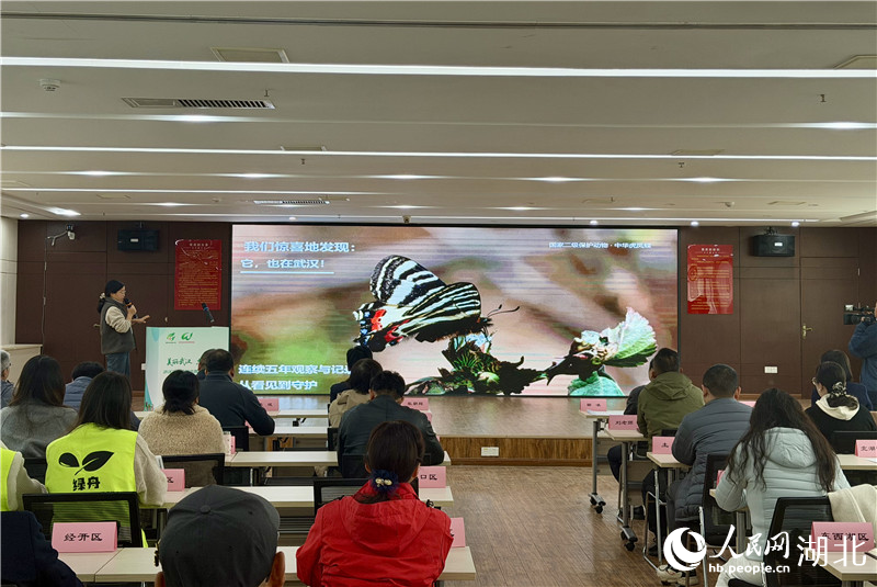 志願者劉平介紹蝴蝶觀察情況。人民網記者 張沛攝