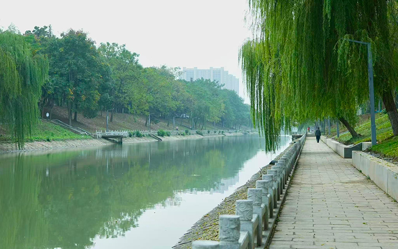 潛江百裡長渠水清岸綠。艾帥攝