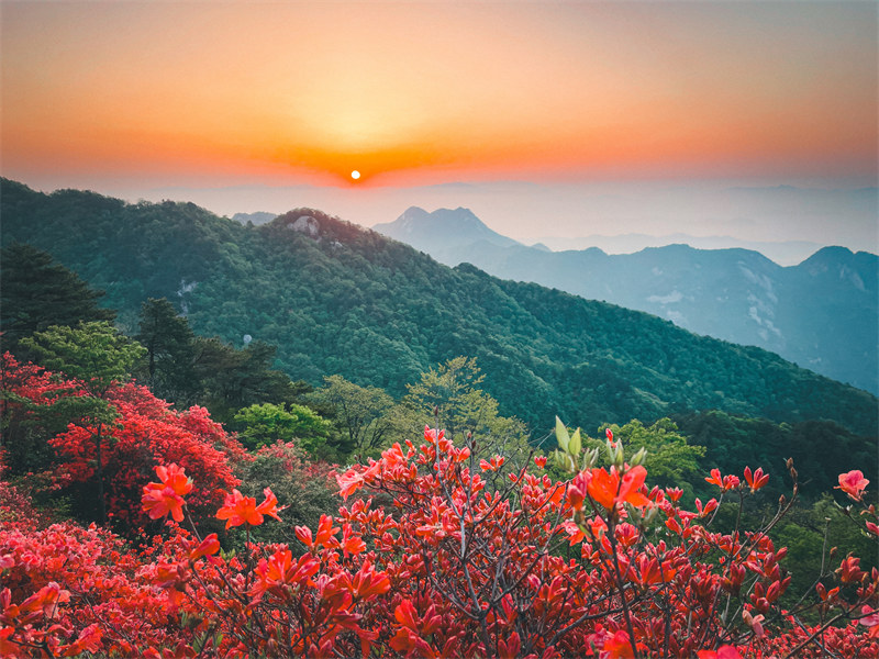 湖北交投龟峰山景区