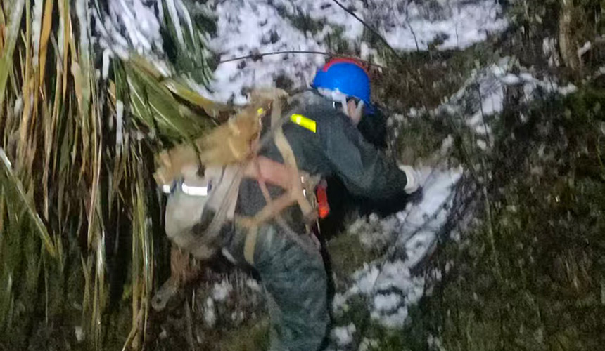 寒潮突袭线路断 湖北竹山供电50余人冒雪抢修