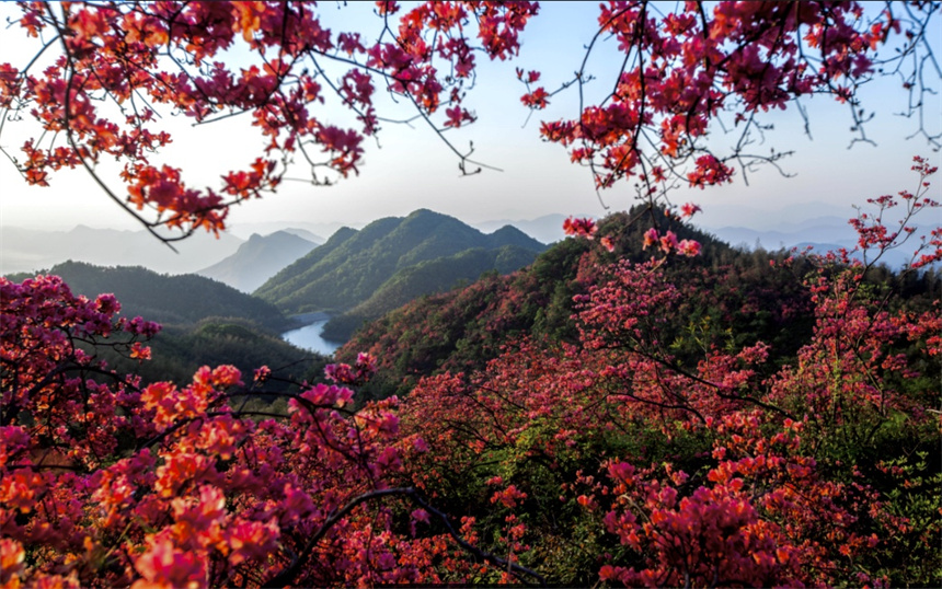 湖北通山绿色发展新路让绿水青山永续增值【5】