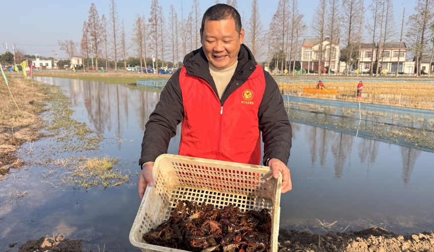 潜江龙虾从“季节供给”迈向“全年供应”【4】