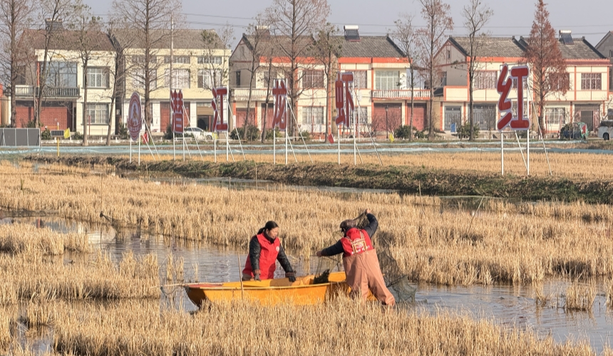 潜江龙虾从“季节供给”迈向“全年供应”【6】