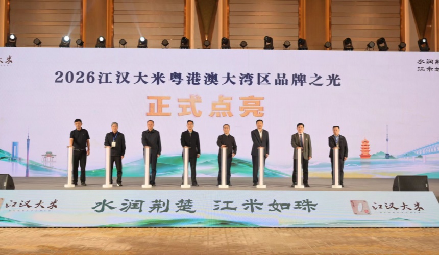 優質鄂米南下助力大灣區“米袋子”更豐盈