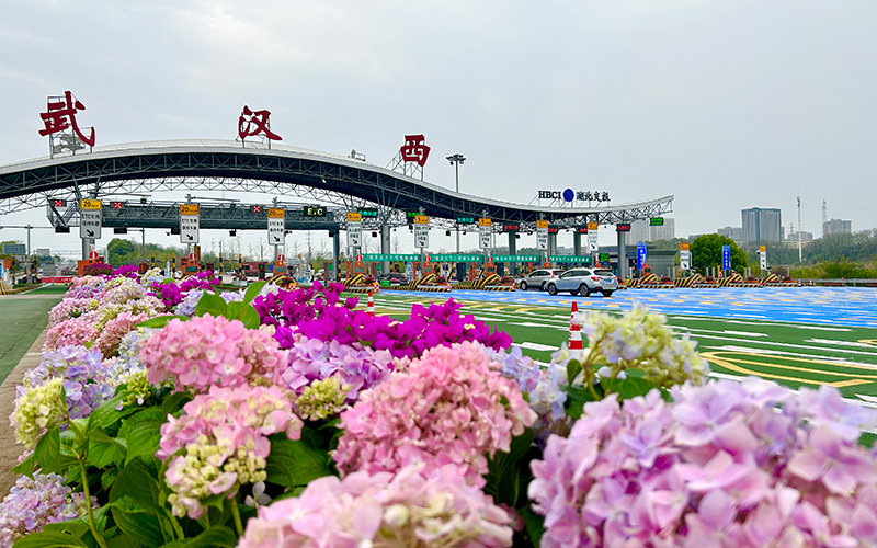 武漢西收費站處處花香。