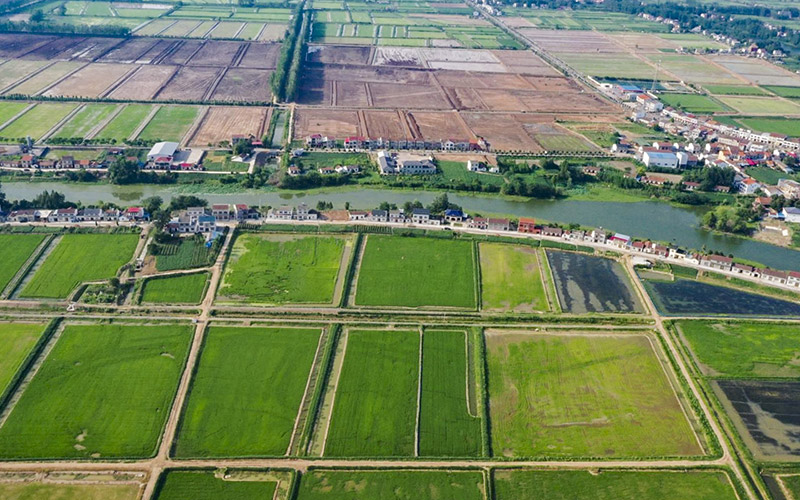 公安縣麻豪口鎮全域國土綜合整治項目獲評2024年湖北省全域國土綜合整治優秀范例。