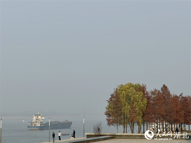 冬日青山江灘。人民網記者 張沛攝