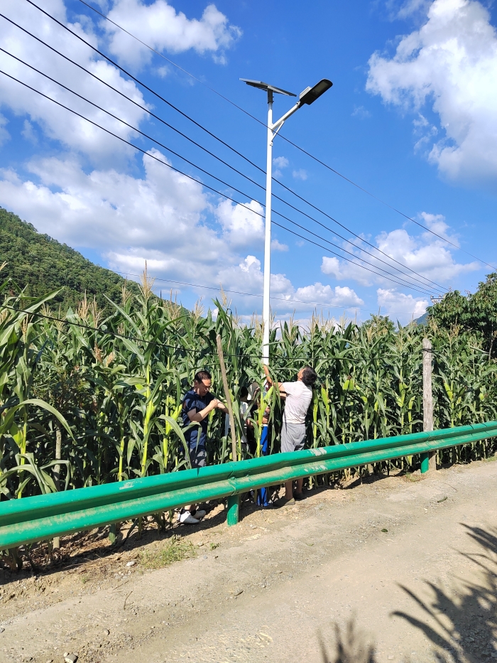 為村民安裝的路燈點亮夜間出行道路 (1)