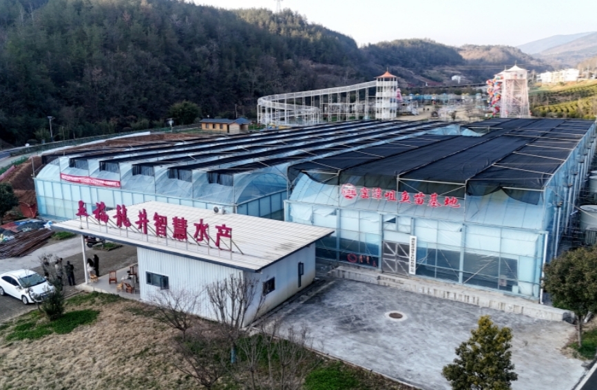 智养沼虾富农家【4】