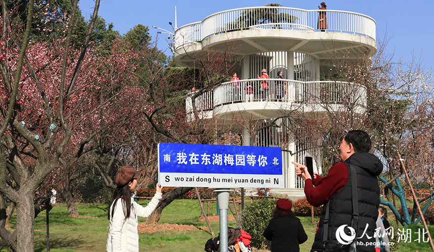 游客们在梅园各处打卡拍照。人民网 彭昀迪摄