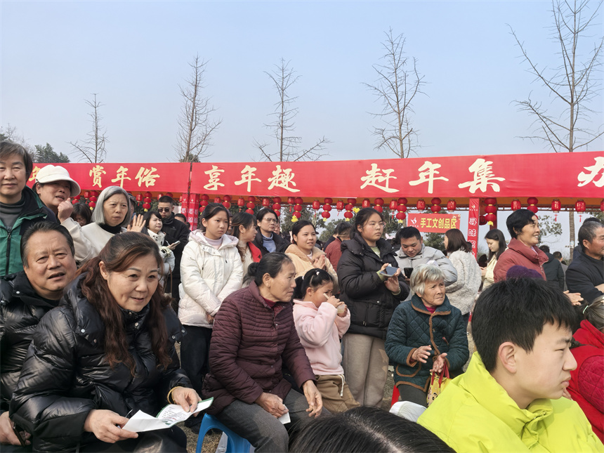 “音乐+年味”的乡村市集【4】