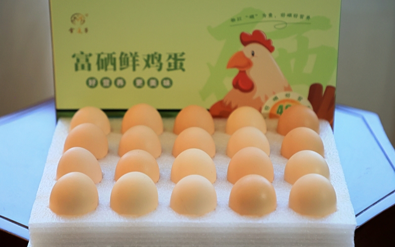 省人大代表汪軍帶來的雞蛋。