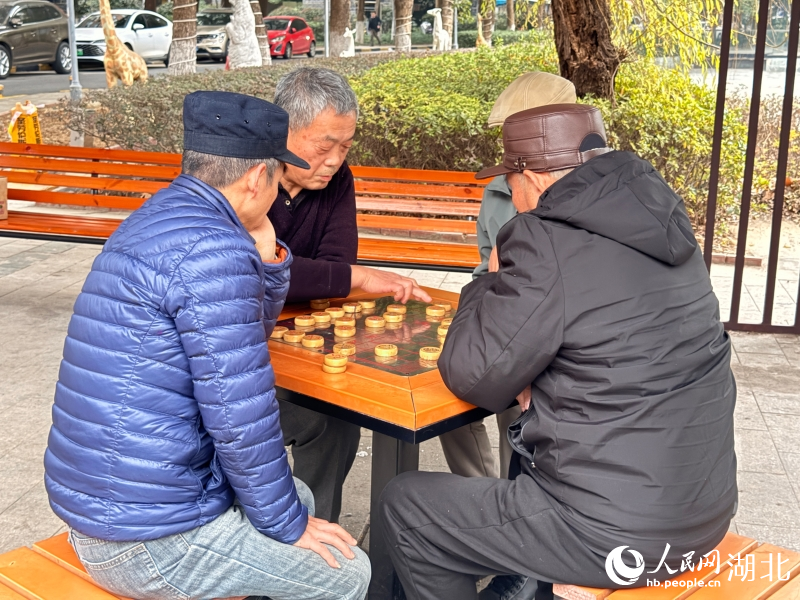 玫瑰灣社區居民圍坐在一起下象棋。人民網記者 張雋攝