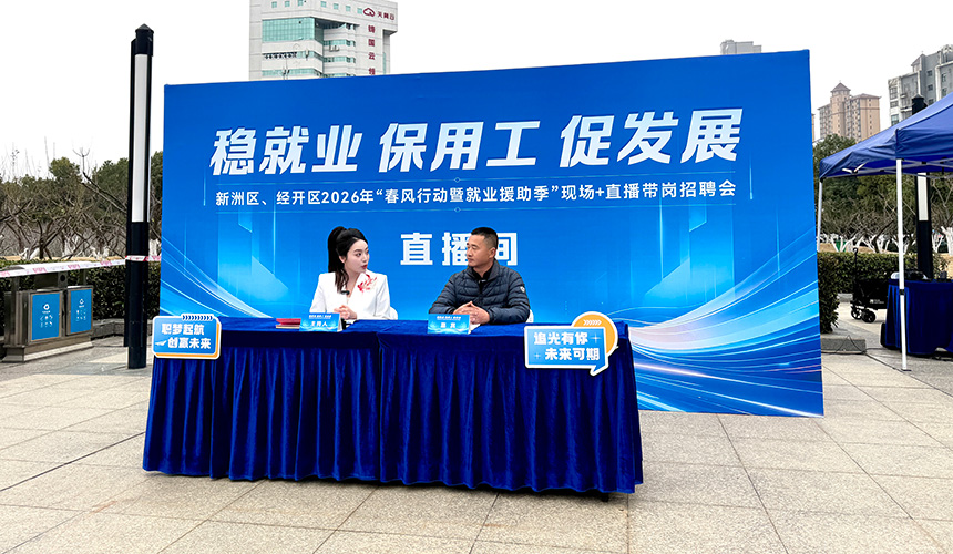 湖北新洲“春风行动”精准服务 助力稳就业促发展【2】