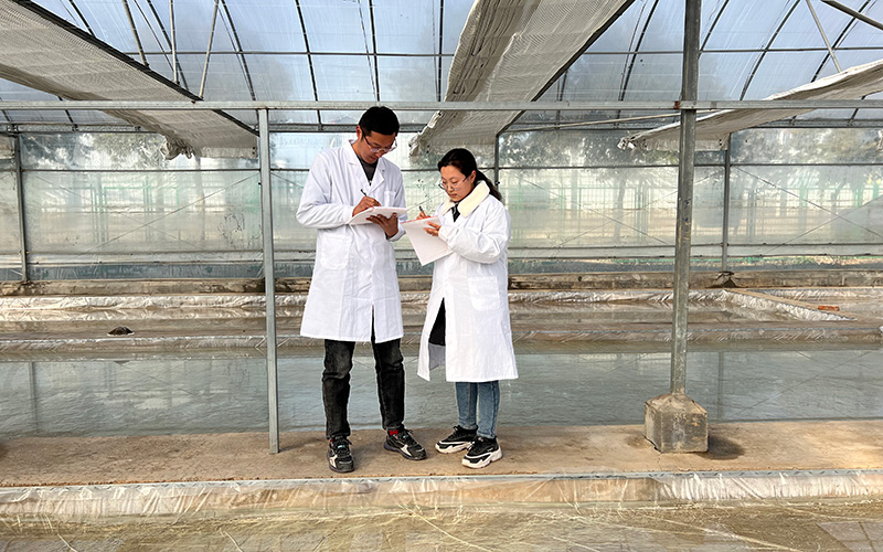 試驗員記錄育苗大棚溫濕度數據。佘真溪攝