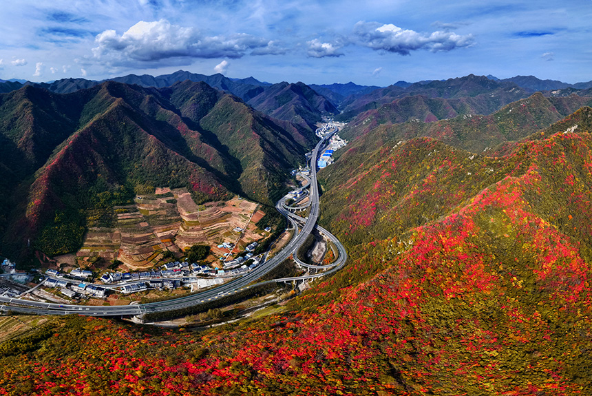 竹山县双台乡红叶漫山，高速路如丝带般与外连接。石濡华摄