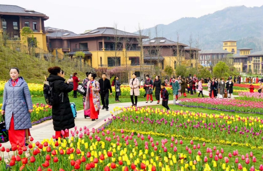 大年初四，英山四季花海景区花海与新春的喜庆交织。