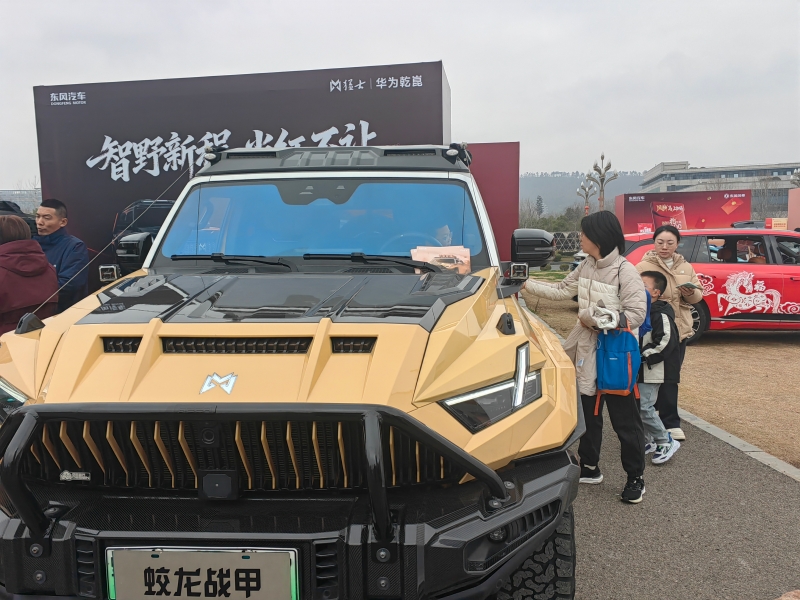 小朋友也爭相體驗東風汽車。人民網記者 郭婷婷攝