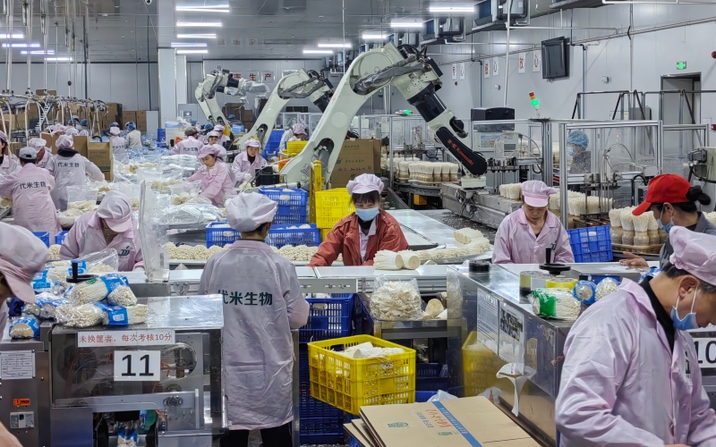 新代米生物科技有限公司工作現場。