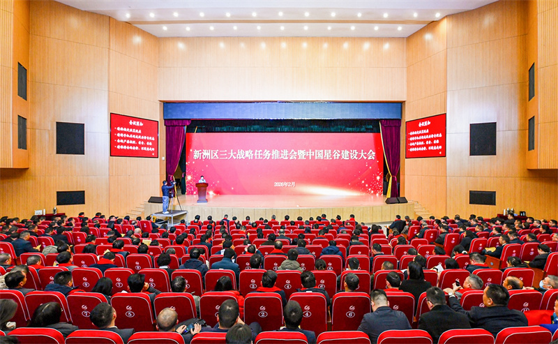武漢市新洲區召開三大戰略任務推進會暨中國星谷建設大會。葉東輝攝