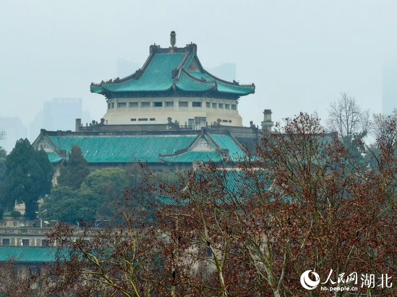武汉大学校园。人民网记者 张沛摄
