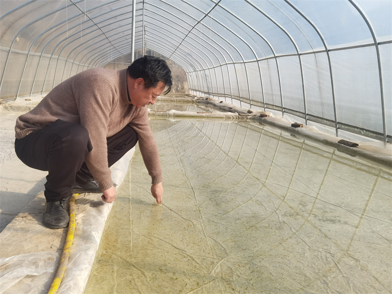 ��Ҷ����Ա�鿴������ʩ��ָ����������