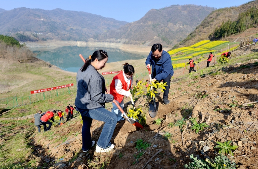 湖北竹山：“红马甲”植绿圣水湖畔