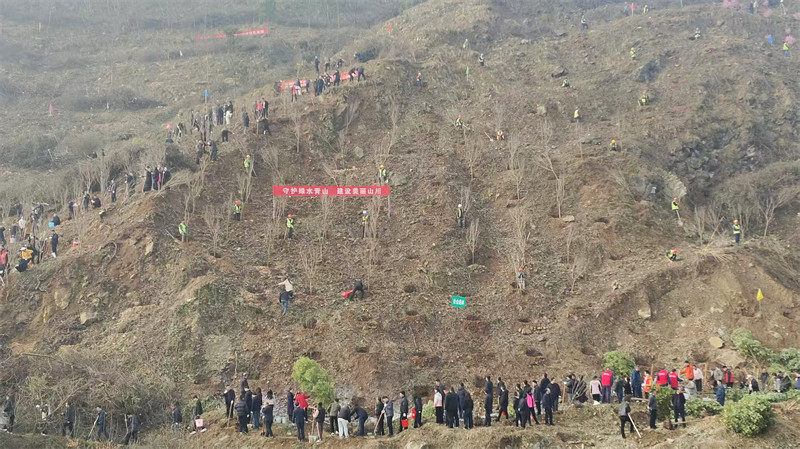 鄖西縣2026年春季集中義務植樹活動現(xiàn)場。 徐光意攝