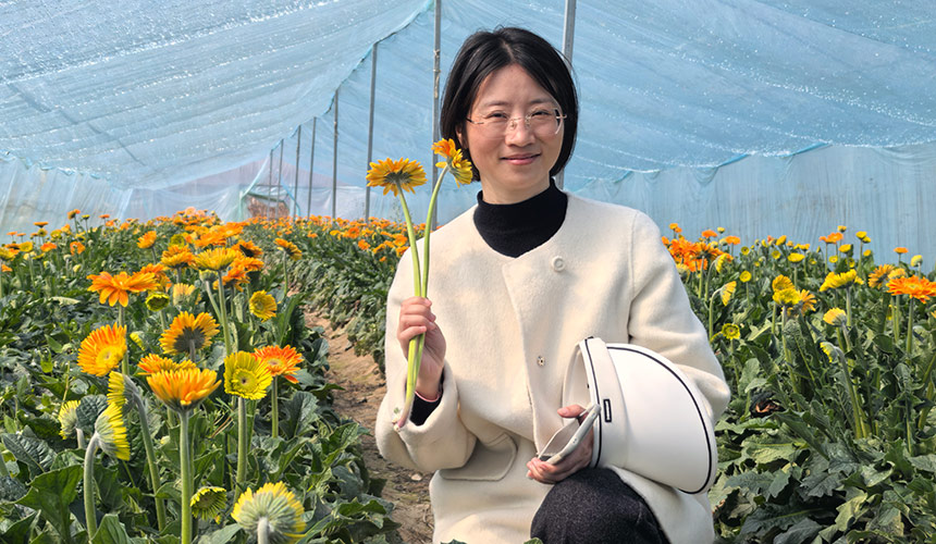 截枝育新芽 技术破困局——香椿大户的市场突围路【5】