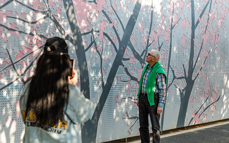 西北湖公园樱花墙吸引外国游客打卡。李军摄